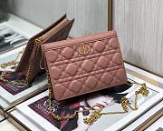 Dior Caro Chain Clutch Bag Pink Size 19x14x3 cm - 1