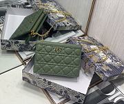Dior Caro Chain Clutch Bag Green Size 19x14x3 cm - 4