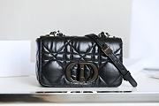 Dior Caro Black Gun Color Buckle Size 20x12x7 cm - 1