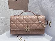 Mini Miss Dior Bag Rose Des Vents Cannage Lambskin Size 21x11.5x4.5 cm - 4