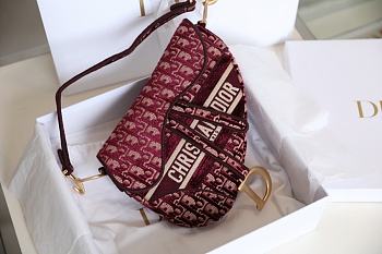 Dior Velvet Saddle Bag Size 25x20x6.5 cm