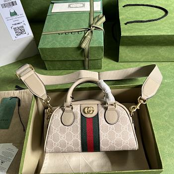 Gucci Ophidia Series Of Mini GG Handbags Size 21x12x10 cm