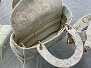 Dior Jardin d'Hiver Embroidery With Gold-Tone Metallic Thread Size 24x20x11 cm - 2