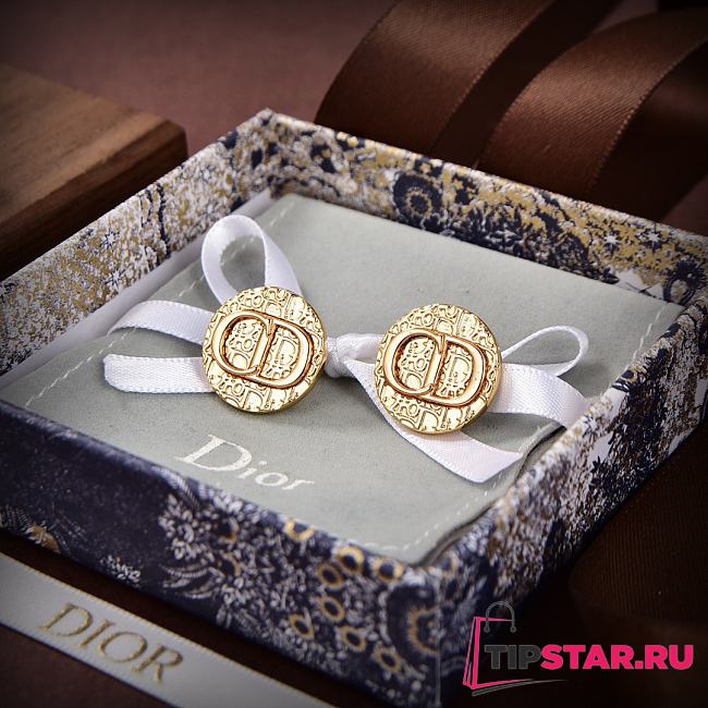 Dior CD Earrings - 1