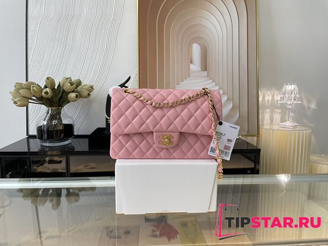 Chanel Classic Handbag Light Pink A01112 Size 15.5×25.5×6.5 cm - 1