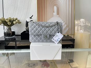 Chanel Classic Handbag Gray A01112 Size 15.5×25.5×6.5 cm