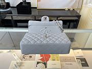 Chanel Classic Handbag Gray A01112 Size 15.5×25.5×6.5 cm - 3