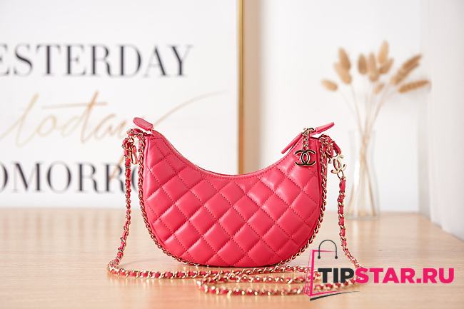 Chanel Small Hobo Bag AS3917 Pink Size 15×20×6 cm - 1