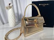 Alexander Wang X Bvlgari Belt Bag Light Gold Size 18.5x11.5x6.5 cm - 5