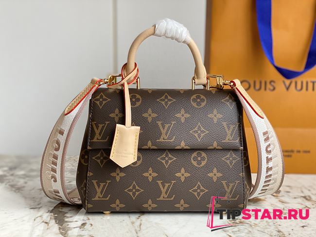 Louis Vuitton Cluny Mini M46055 Size 20x16x7.5 cm - 1