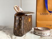 Louis Vuitton Cluny Mini M46055 Size 20x16x7.5 cm - 3