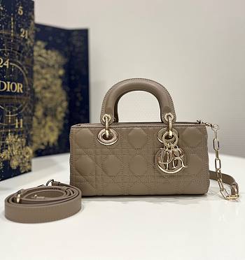 Dior Small Lady D-Joy Bag Hazelnut Cannage Lambskin Size 22x6x12 cm