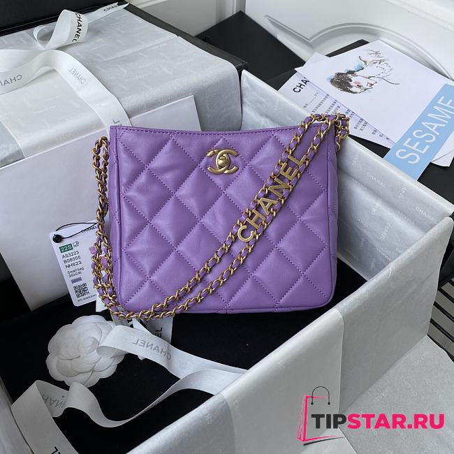 Chanel Small Hobo Bag Purple AS3223 Size 16x19x8 cm - 1