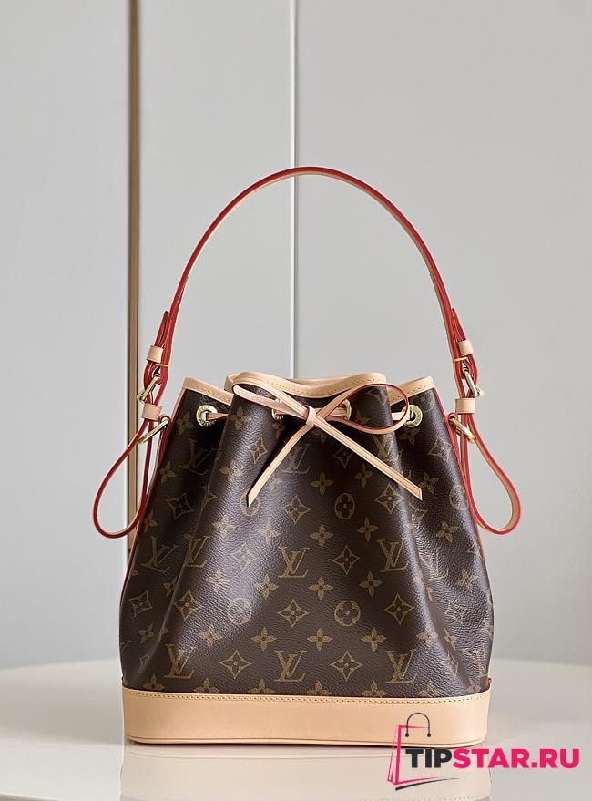 Louis Vuitton Petit Noé M40818 Size 27×27×21cm - 1