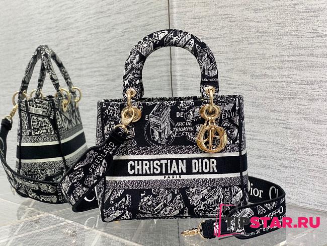 Dior Medium Lady D-lite Bag Black and White Plan de Paris Embroidery Size 24 x 20 x 11 cm - 1