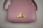 Celine Classique Triomphe Bag In Shiny Calfskin Pink Size 22 X 15.5 X 6 CM - 5