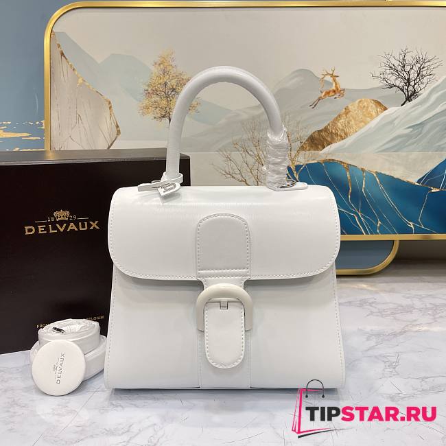 Delvaux Brillant Mini in Box Calf White 20x11x16cm - 1