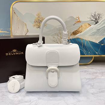 Delvaux Brillant Mini in Box Calf White Size 20x11x16 cm