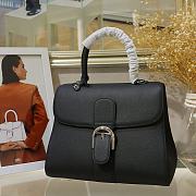 Delvaux Brillant MM in Rodeo Calf Black 29x13.5x21.5cm - 1