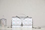 Miss Dior Mini Bag Iridescent Metallic Silver-Tone Cannage Lambskin Size 21 x 11.5 x 4.5 cm - 1