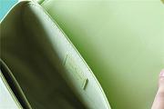Louis Vuitton M22725 Hide And Seek Vert Noto Green Size 21 x 15 x 8 cm - 5
