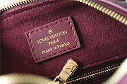 Louis Vuitton M46646 Speedy Bandoulière 25 Wine Red Size 25 x 19 x 15 cm - 4