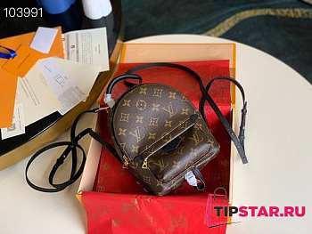 Louis Vuitton M44873 Palm Springs Mini Backpack Size 17 x 22 x 10 cm
