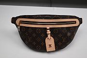 Louis Vuitton Monogram High Rise Bumbag - 3