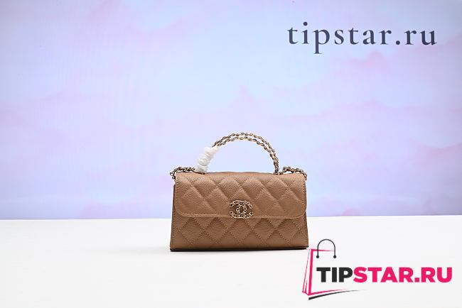 Chanel Top Handle Bag Brown Color - 1
