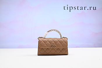 Chanel Top Handle Bag Brown Color