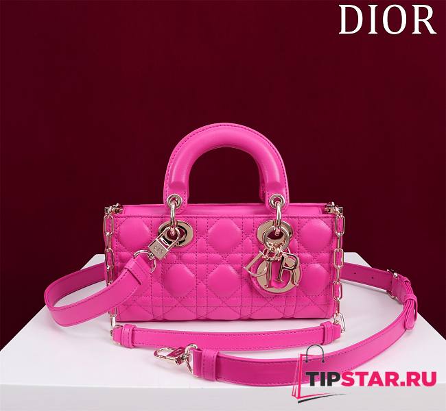 Dior Small Lady D-Joy Bag Rani Pink Cannage Lambskin Size Size 22 x 12 x 6 cm - 1