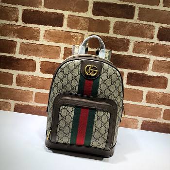 Gucci Ophidia GG Small Backpack Size 22*29*15 cm