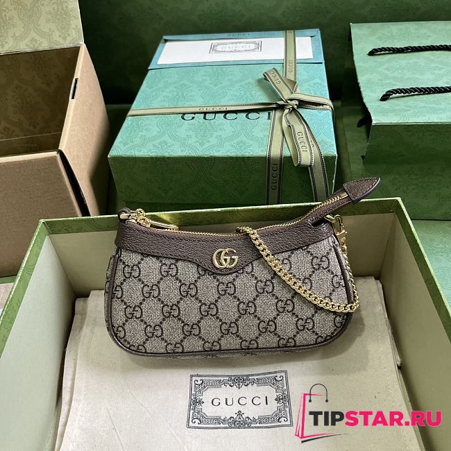 Gucci Ophidia Mini Bag Beige and ebony GG 764960 Size 19x10x3cm - 1