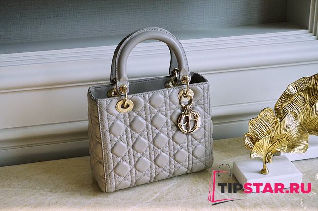 Medium Lady Dior Bag Stone Gray Cannage Lambskin Size 24 x 20 x 11 cm - 1