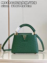 Louis Vuitton N93483 Capucines Mini Green Ostrich Size 21 x 14 x 8 cm - 1