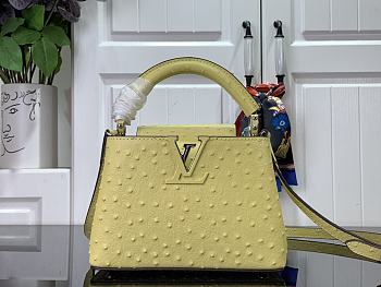 Louis Vuitton N81196 Capucines Mini Yellow Ostrich Size 21 x 14 x 8 cm