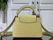 Louis Vuitton N81196 Capucines Mini Yellow Ostrich Size 21 x 14 x 8 cm - 4