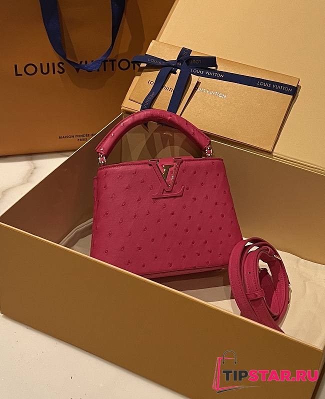 Louis Vuitton Capucines Mini N94089 Berry Ostrich Size 21 x 14 x 8 cm - 1