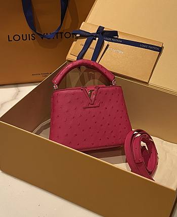 Louis Vuitton Capucines Mini N94089 Berry Ostrich Size 21 x 14 x 8 cm