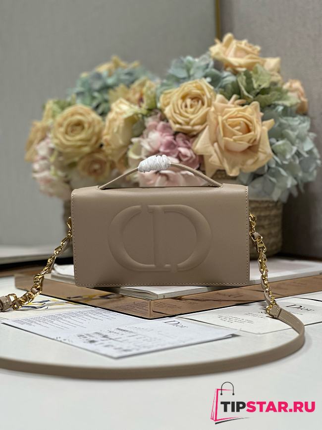 Dior CD Signature Mini Bag Beige Calfskin with Embossed CD Signature Size 21 x 11 x 5 cm - 1