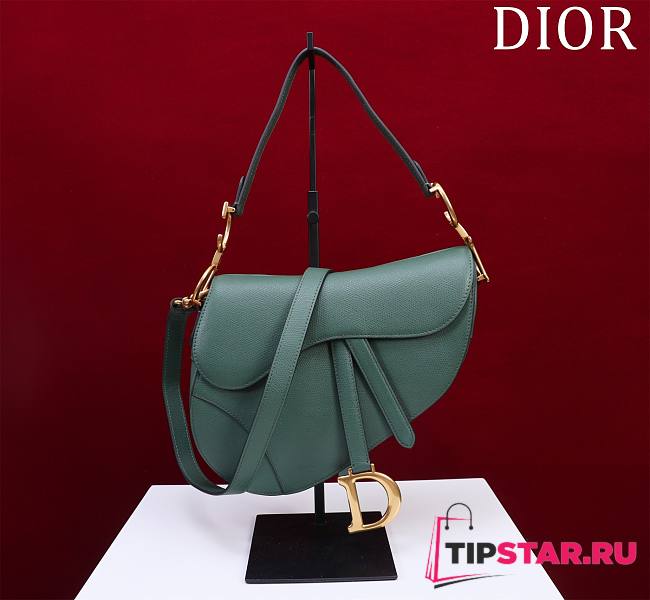 Dior Saddle Bag With Strap Pine Green Grained Calfskin Size 25.5 x 20 x 6.5 cm - 1