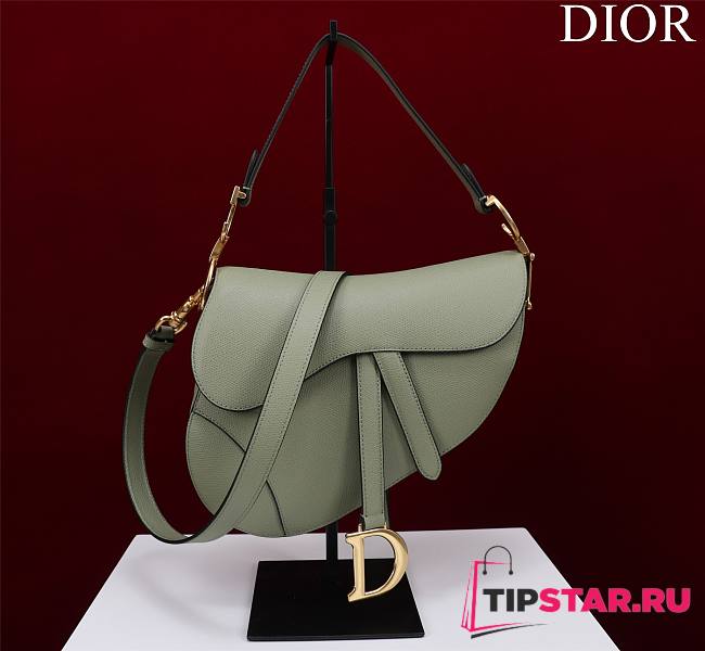 Dior Saddle Bag With Strap Cedar Green Grained Calfskin Size 25.5 x 20 x 6.5 cm - 1