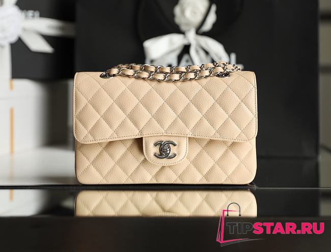 Chanel Classic Flap Bag Beige Grained Calfskin Silver Hardware Size 14.5x23x6cm - 1