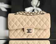 Chanel Classic Flap Bag Beige Grained Calfskin Silver Hardware Size 14.5x23x6cm - 4