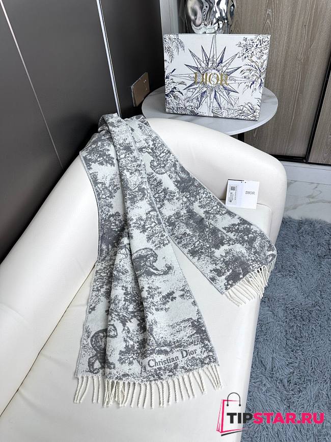 Dior Toile De Jouy Sauvage Scaft Gray Cashmere and Wool - 1