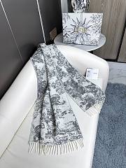Dior Toile De Jouy Sauvage Scaft Gray Cashmere and Wool - 1