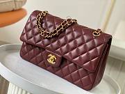 Chanel Classic Flap Bag Wine Red Lambskin Gold Hardware Size 25cm - 4