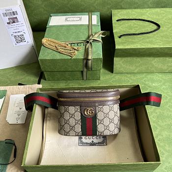 Gucci Ophidia Belt Bag With Web 699765 Beige & Ebony Size 18x12x6cm