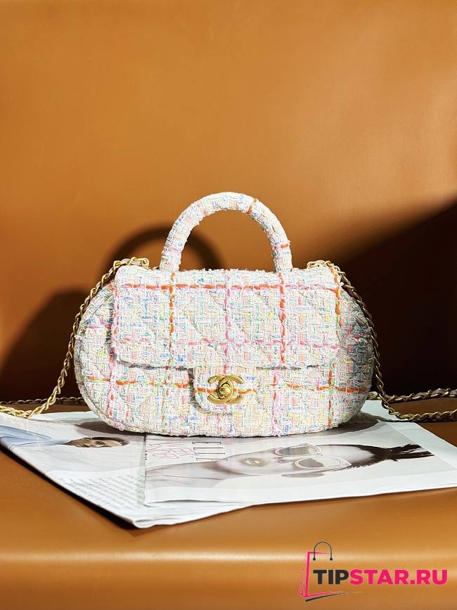 Chanel Bag With Top Handle AS4569 Multicolour Tweed Size 13.5 × 23.5 × 5.5 cm - 1