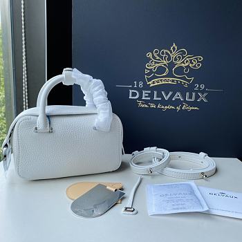 Delvaux Cool Box Nano in Taurillon Soft White Size 16.5x7.5x10.5 cm